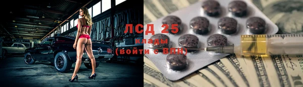сатива Россошь