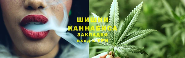 дмт Абаза