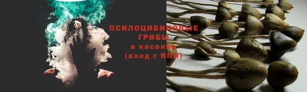 дмт Абаза