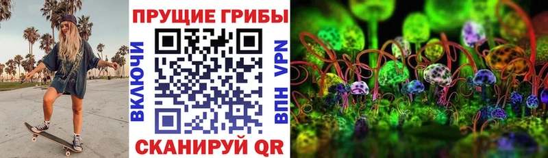 Псилоцибиновые грибы прущие грибы  купить  цена  hydra tor  Протвино 