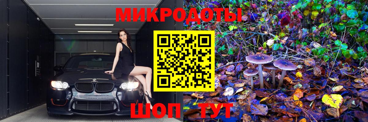 Псилоцибиновые грибы Psilocybe  Псилоцибиновые грибы Psilocybe  Протвино  Вход с VPN 
